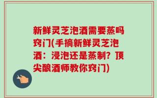 新鲜灵芝泡酒需要蒸吗窍门(手摘新鲜灵芝泡酒：浸泡还是蒸制？顶尖酿酒师教你窍门)