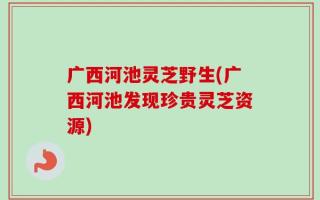 广西河池灵芝野生(广西河池发现珍贵灵芝资源)