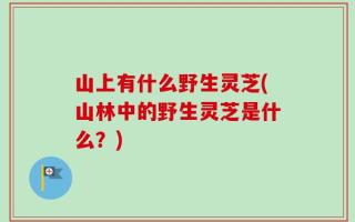 山上有什么野生灵芝(山林中的野生灵芝是什么？)