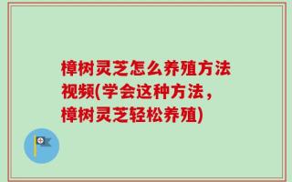 樟树灵芝怎么养殖方法视频(学会这种方法，樟树灵芝轻松养殖)