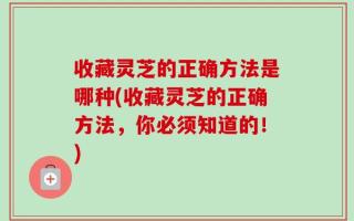 收藏灵芝的正确方法是哪种(收藏灵芝的正确方法，你必须知道的！)