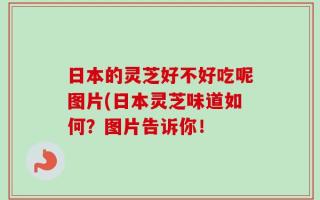 日本的灵芝好不好吃呢图片(日本灵芝味道如何？图片告诉你！