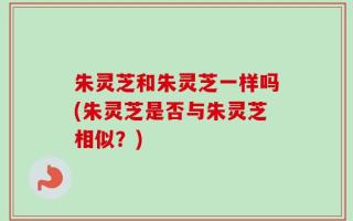 朱灵芝和朱灵芝一样吗(朱灵芝是否与朱灵芝相似？)