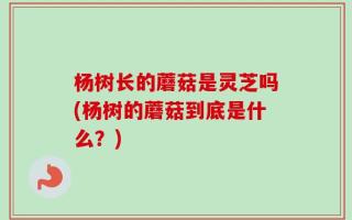杨树长的蘑菇是灵芝吗(杨树的蘑菇到底是什么？)