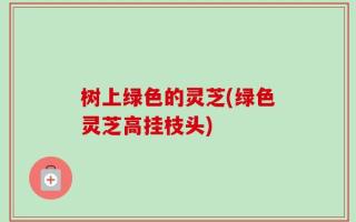 树上绿色的灵芝(绿色灵芝高挂枝头)
