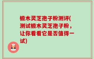 椴木灵芝孢子粉测评(测试椴木灵芝孢子粉，让你看看它是否值得一试)