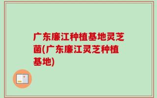 广东廉江种植基地灵芝菌(广东廉江灵芝种植基地)