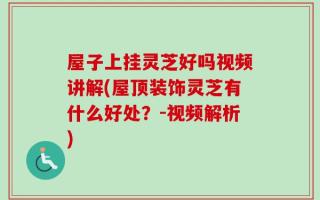 屋子上挂灵芝好吗视频讲解(屋顶装饰灵芝有什么好处？-视频解析)