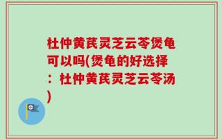 杜仲黄芪灵芝云苓煲龟可以吗(煲龟的好选择：杜仲黄芪灵芝云苓汤)