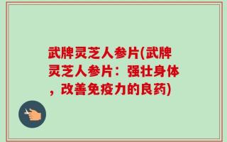 武牌灵芝人参片(武牌灵芝人参片：强壮身体，改善免疫力的良药)