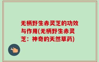 无柄野生赤灵芝的功效与作用(无柄野生赤灵芝：神奇的天然草药)