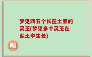梦见四五个长在土里的灵芝(梦见多个灵芝在泥土中生长)