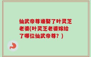 仙武帝尊谁娶了叶灵芝老婆(叶灵芝老婆嫁给了哪位仙武帝尊？)