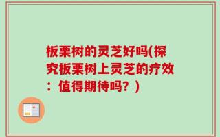 板栗树的灵芝好吗(探究板栗树上灵芝的疗效：值得期待吗？)