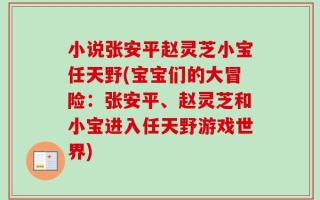 小说张安平赵灵芝小宝任天野(宝宝们的大冒险：张安平、赵灵芝和小宝进入任天野游戏世界)