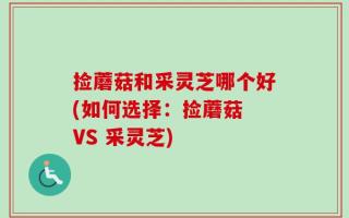 捡蘑菇和采灵芝哪个好(如何选择：捡蘑菇 VS 采灵芝)