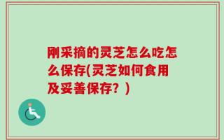 刚采摘的灵芝怎么吃怎么保存(灵芝如何食用及妥善保存？)
