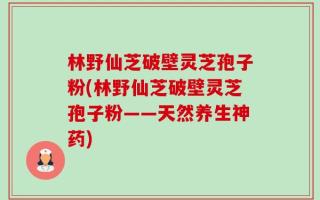 林野仙芝破壁灵芝孢子粉(林野仙芝破壁灵芝孢子粉——天然养生神药)