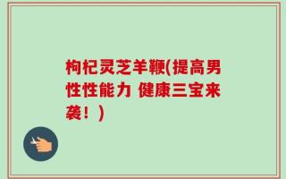 枸杞灵芝羊鞭(提高男性性能力 健康三宝来袭！)