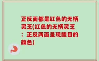 正反面都是红色的无柄灵芝(红色的无柄灵芝：正反两面呈现醒目的颜色)