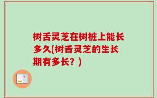 树舌灵芝在树桩上能长多久(树舌灵芝的生长期有多长？)