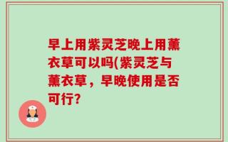 早上用紫灵芝晚上用薰衣草可以吗(紫灵芝与薰衣草，早晚使用是否可行？