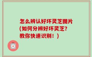 怎么辨认好坏灵芝图片(如何分辨好坏灵芝？教你快速识别！)