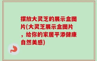 摆放大灵芝的展示盒图片(大灵芝展示盒图片，给你的家居平添健康自然美感)