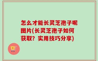 怎么才能长灵芝孢子呢图片(长灵芝孢子如何获取？实用技巧分享)