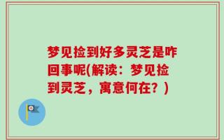 梦见捡到好多灵芝是咋回事呢(解读：梦见捡到灵芝，寓意何在？)