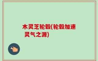 木灵芝轮毂(轮毂加速 灵气之源)