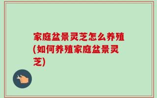 家庭盆景灵芝怎么养殖(如何养殖家庭盆景灵芝)