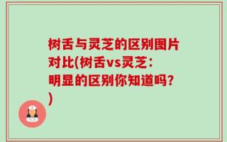 树舌与灵芝的区别图片对比(树舌vs灵芝：明显的区别你知道吗？)