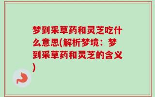 梦到采草药和灵芝吃什么意思(解析梦境：梦到采草药和灵芝的含义)