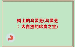 树上的乌灵芝(乌灵芝：大自然的珍贵之宝)