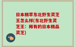 日本精萃东北野生灵芝王怎么样(东北野生灵芝王：稀有的日本精品灵芝)
