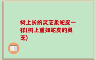 树上长的灵芝象蛇皮一样(树上重如蛇皮的灵芝)