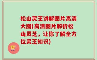 松山灵芝讲解图片高清大图(高清图片解析松山灵芝，让你了解全方位灵芝知识)