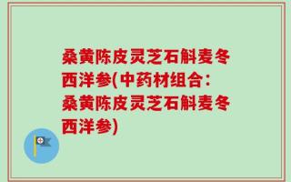 桑黄陈皮灵芝石斛麦冬西洋参(中药材组合：桑黄陈皮灵芝石斛麦冬西洋参)
