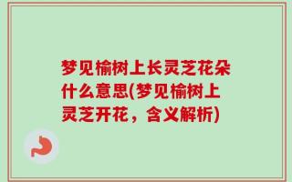 梦见榆树上长灵芝花朵什么意思(梦见榆树上灵芝开花，含义解析)