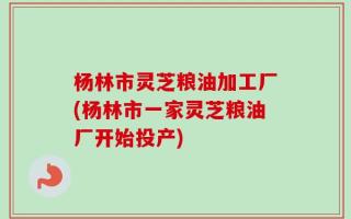 杨林市灵芝粮油加工厂(杨林市一家灵芝粮油厂开始投产)