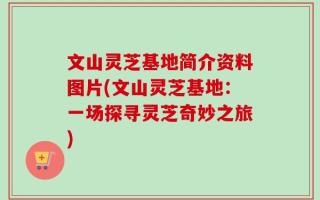 文山灵芝基地简介资料图片(文山灵芝基地：一场探寻灵芝奇妙之旅)