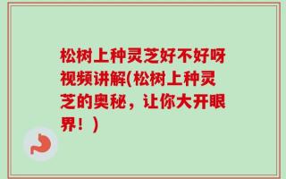 松树上种灵芝好不好呀视频讲解(松树上种灵芝的奥秘，让你大开眼界！)