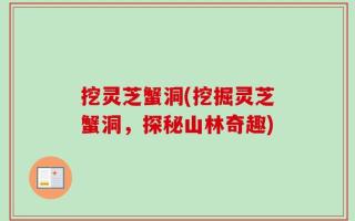 挖灵芝蟹洞(挖掘灵芝蟹洞，探秘山林奇趣)