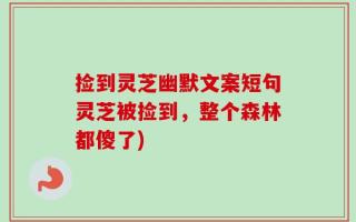 捡到灵芝幽默文案短句灵芝被捡到，整个森林都傻了)