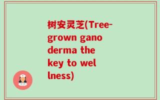 树安灵芝(Tree-grown ganoderma the key to wellness)