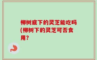 柳树底下的灵芝能吃吗(柳树下的灵芝可否食用？