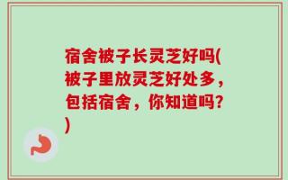 宿舍被子长灵芝好吗(被子里放灵芝好处多，包括宿舍，你知道吗？)