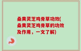 桑黄灵芝鸡骨草功效(桑黄灵芝鸡骨草的功效及作用，一文了解)