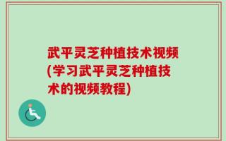 武平灵芝种植技术视频(学习武平灵芝种植技术的视频教程)